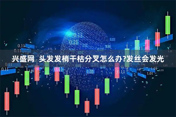 兴盛网  头发发梢干枯分叉怎么办?发丝会发光