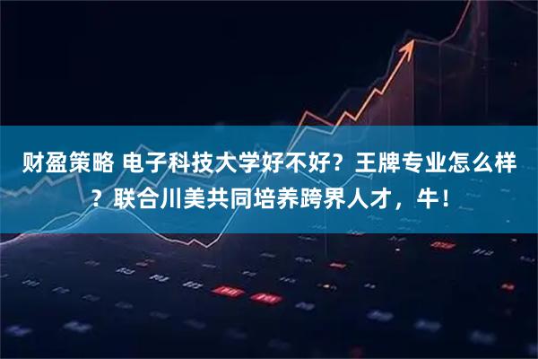 财盈策略 电子科技大学好不好？王牌专业怎么样？联合川美共同培养跨界人才，牛！
