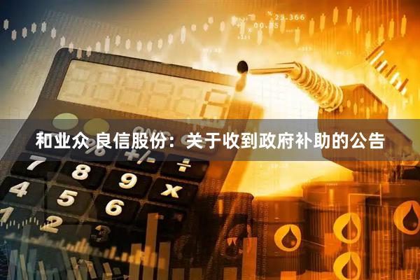 和业众 良信股份：关于收到政府补助的公告