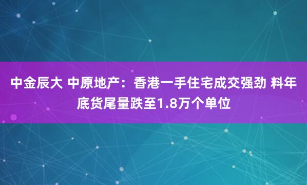 中金辰大 中原地产：香港一手住宅成交强劲 料年底货尾量跌至1.8万个单位
